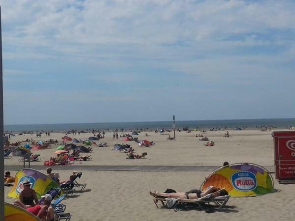 Chalet Joleen Ijmuiden Aan Zee, Vlakbij Het Strand Exteriör bild