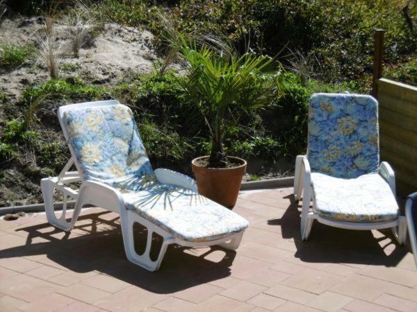 Chalet Joleen Ijmuiden Aan Zee, Vlakbij Het Strand Exteriör bild