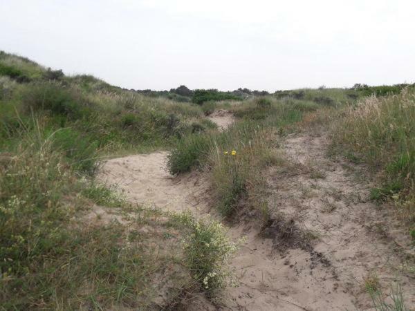 Chalet Joleen Ijmuiden Aan Zee, Vlakbij Het Strand Exteriör bild